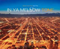 Listen to In Ya Mellow Tone Volume 8 on The J-Pop Exchange